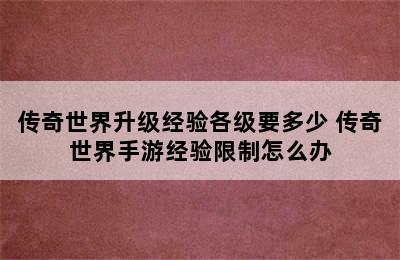 传奇世界升级经验各级要多少 传奇世界手游经验限制怎么办